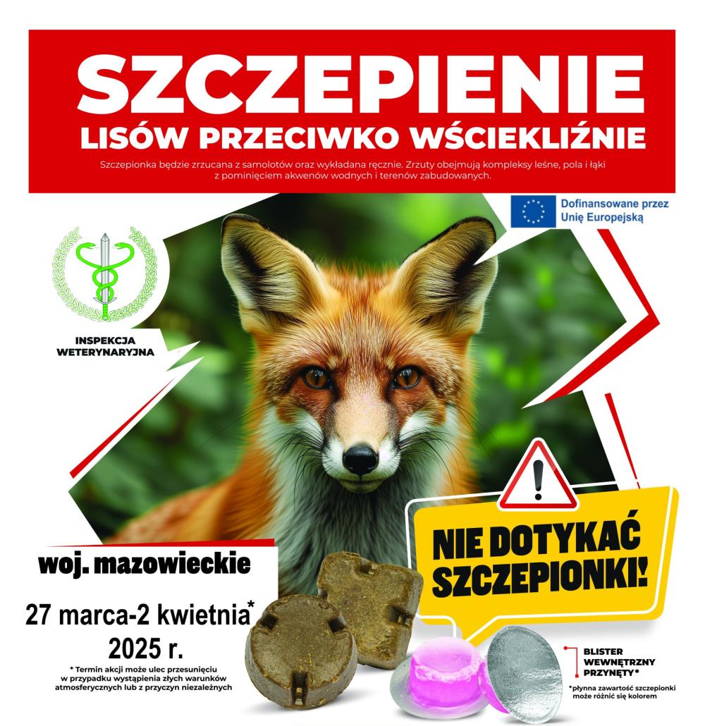 Wiosenne szczepienie lisów